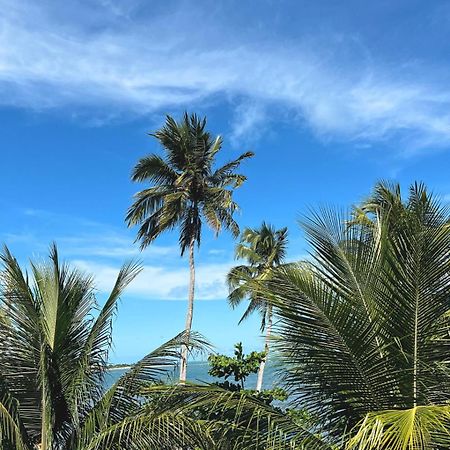 Suites Ventos E Velas Praia Pôrto de Pedras 外观 照片