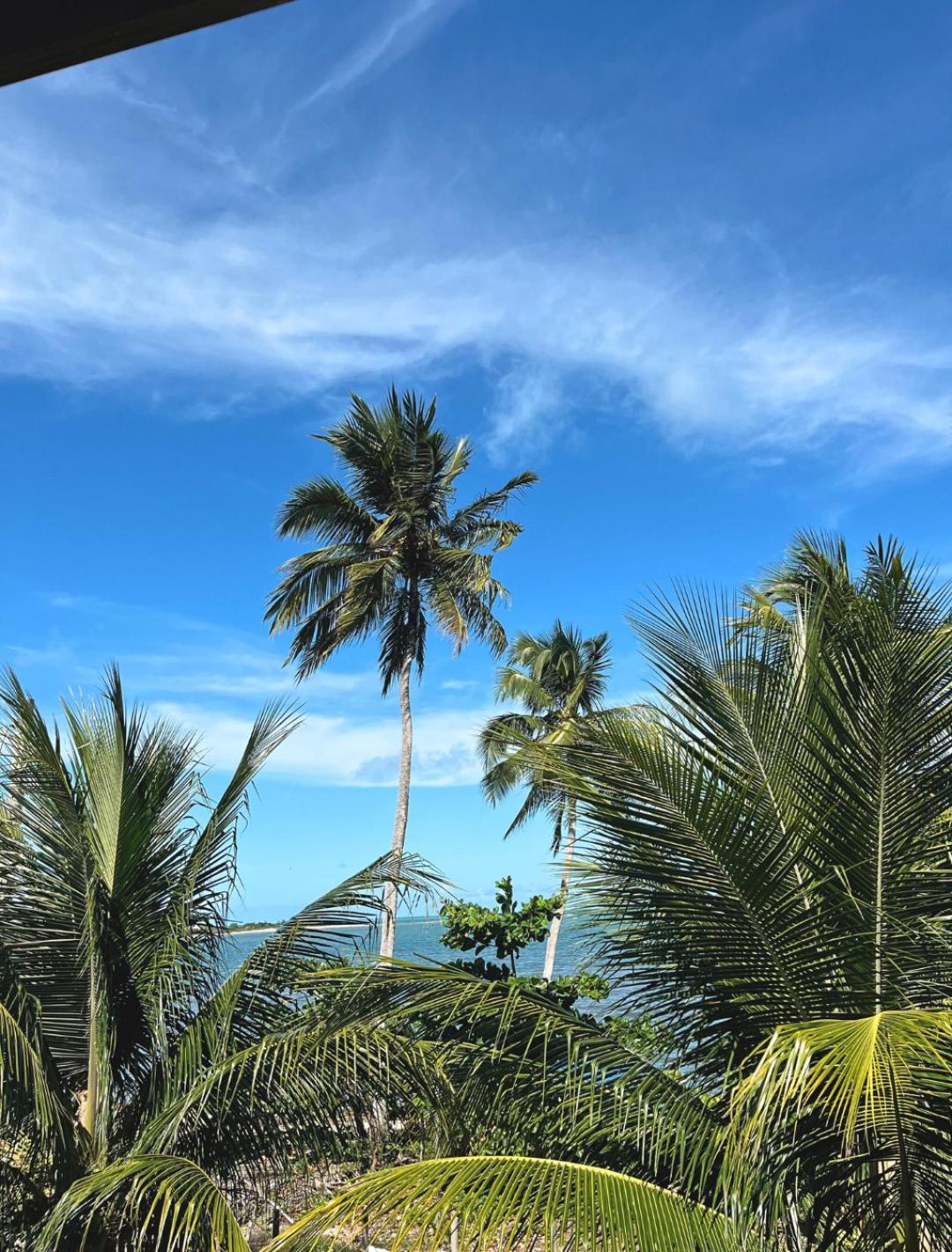 Suites Ventos E Velas Praia Pôrto de Pedras 外观 照片
